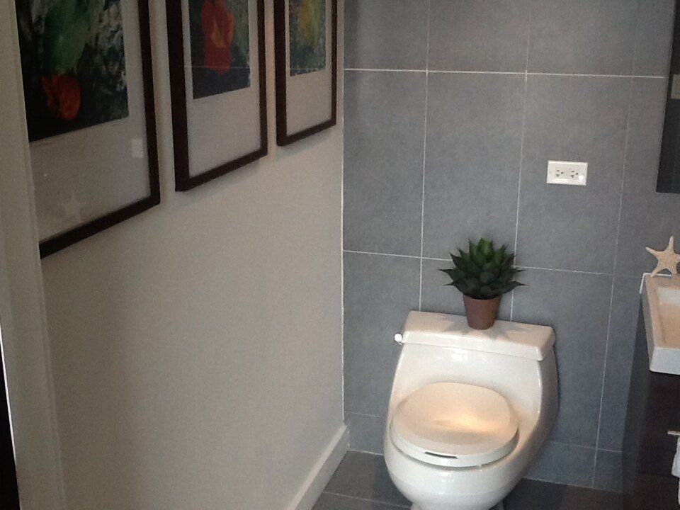 A toilet in a bathroom with a plant on top of it