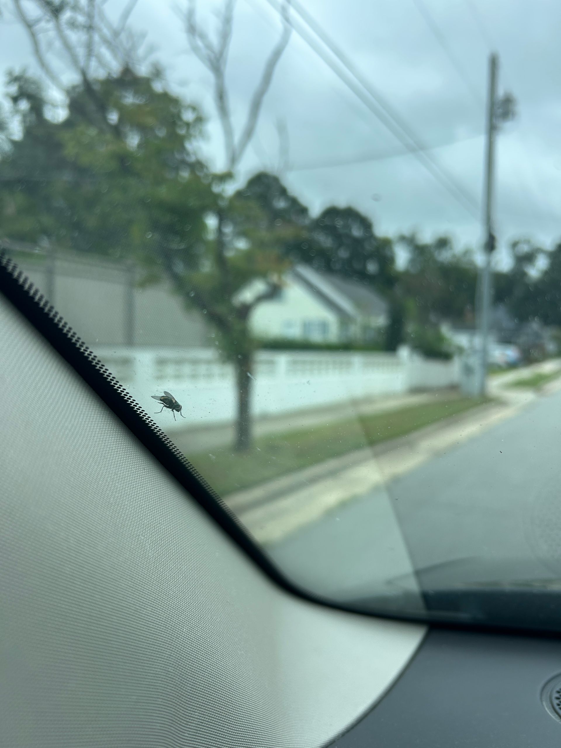 Blurred street view through a car windshield, with a white fence, utility poles, and cloudy sky.