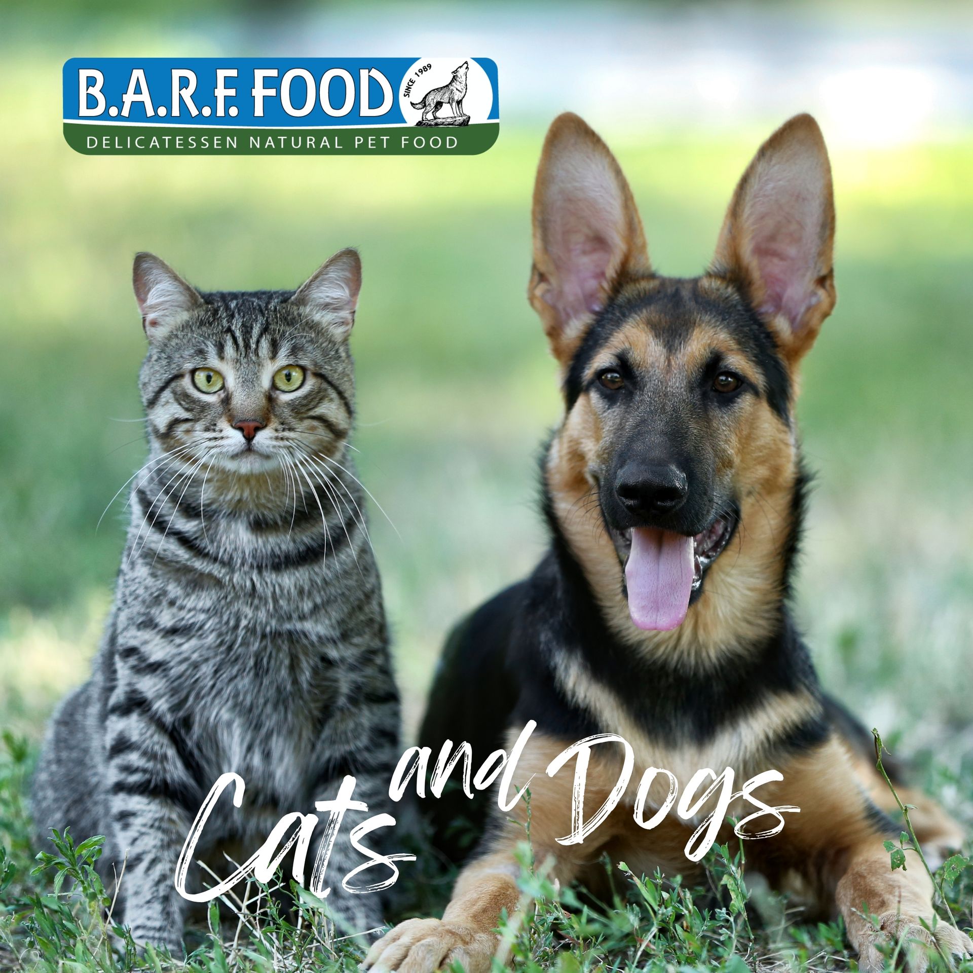For Dogs & Cats