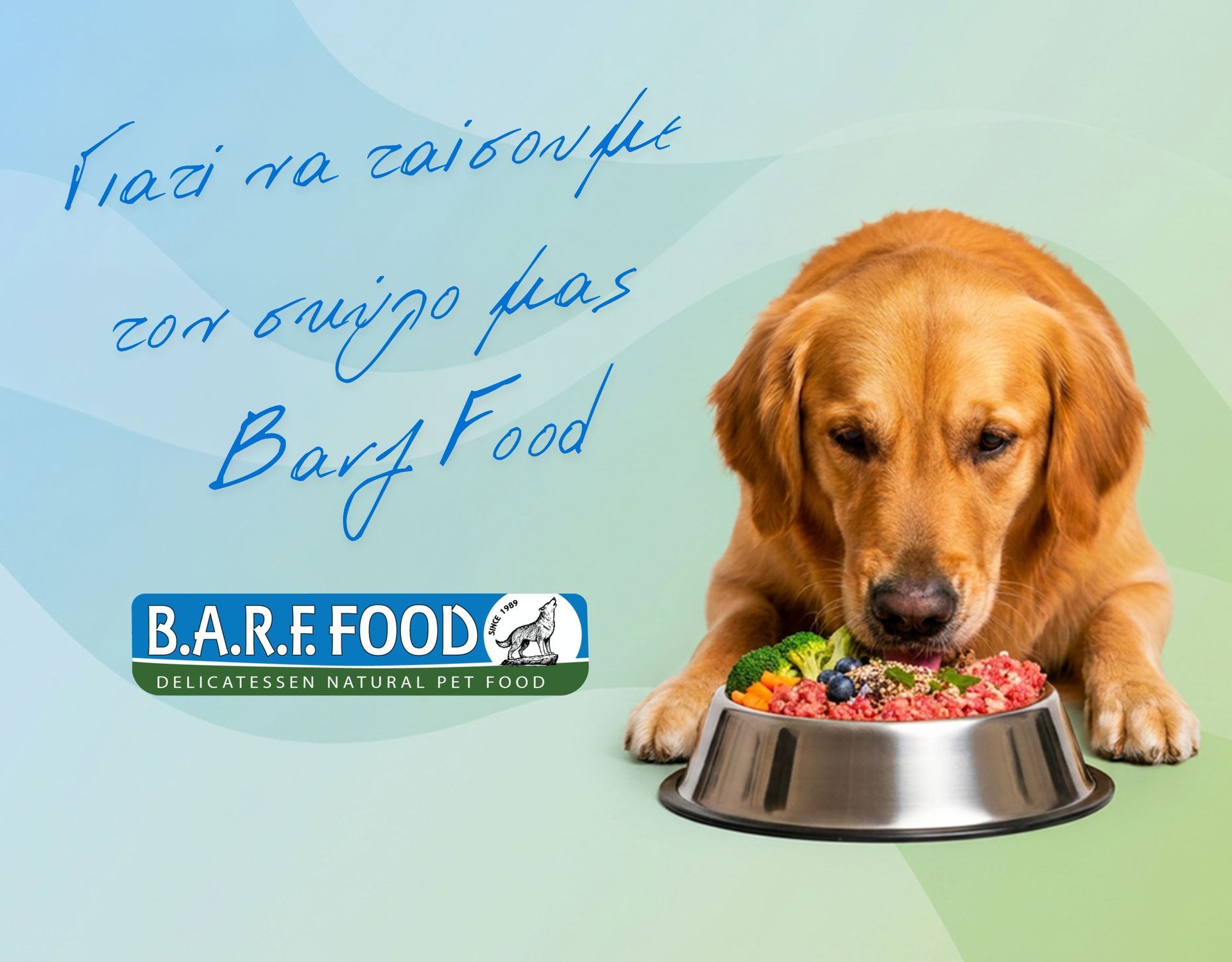 Σκύλος δίπλα σε μπολ με BARF γεύμα (ωμή διατροφή) – BARFFOOD