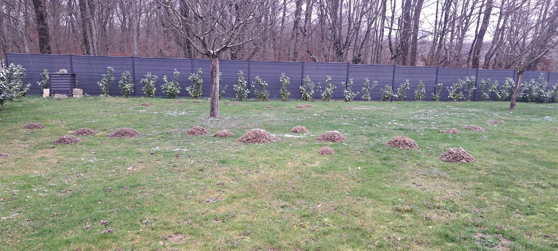 Une clôture entoure un champ vert luxuriant avec des arbres en arrière-plan.