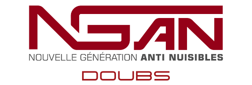 logo ngan