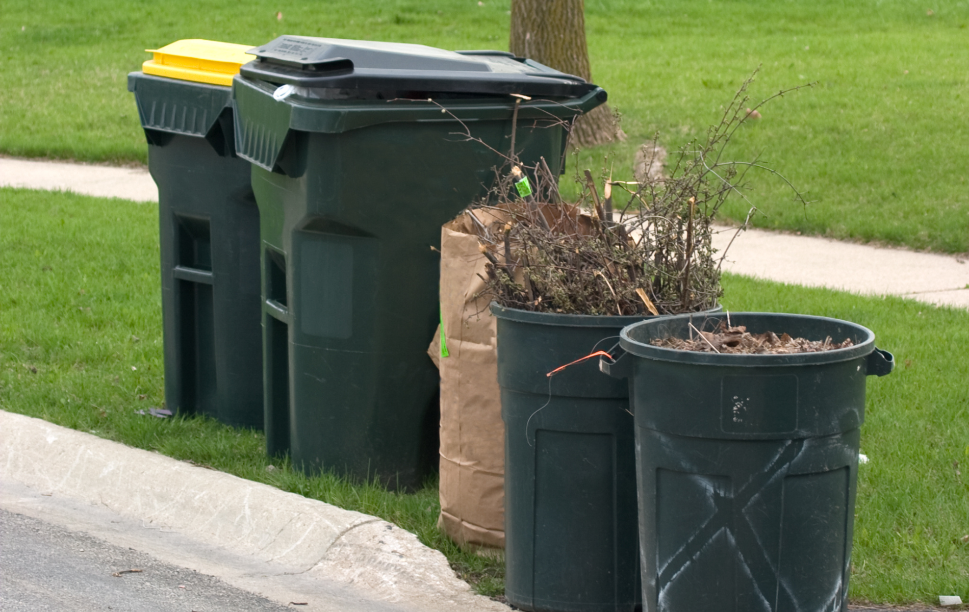 Three garbage cans are lined up on the side of the road