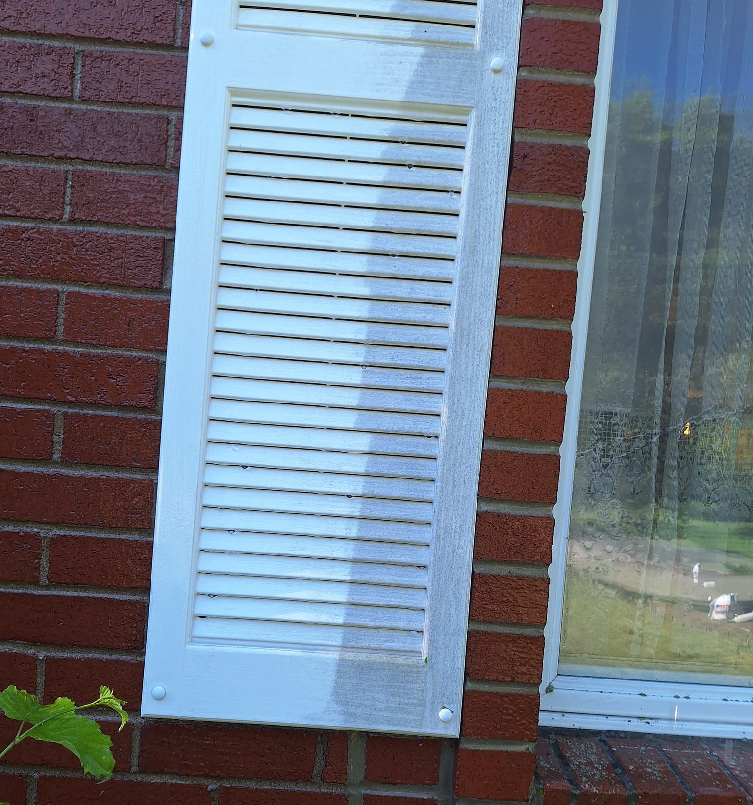 Professional pressure washing near me