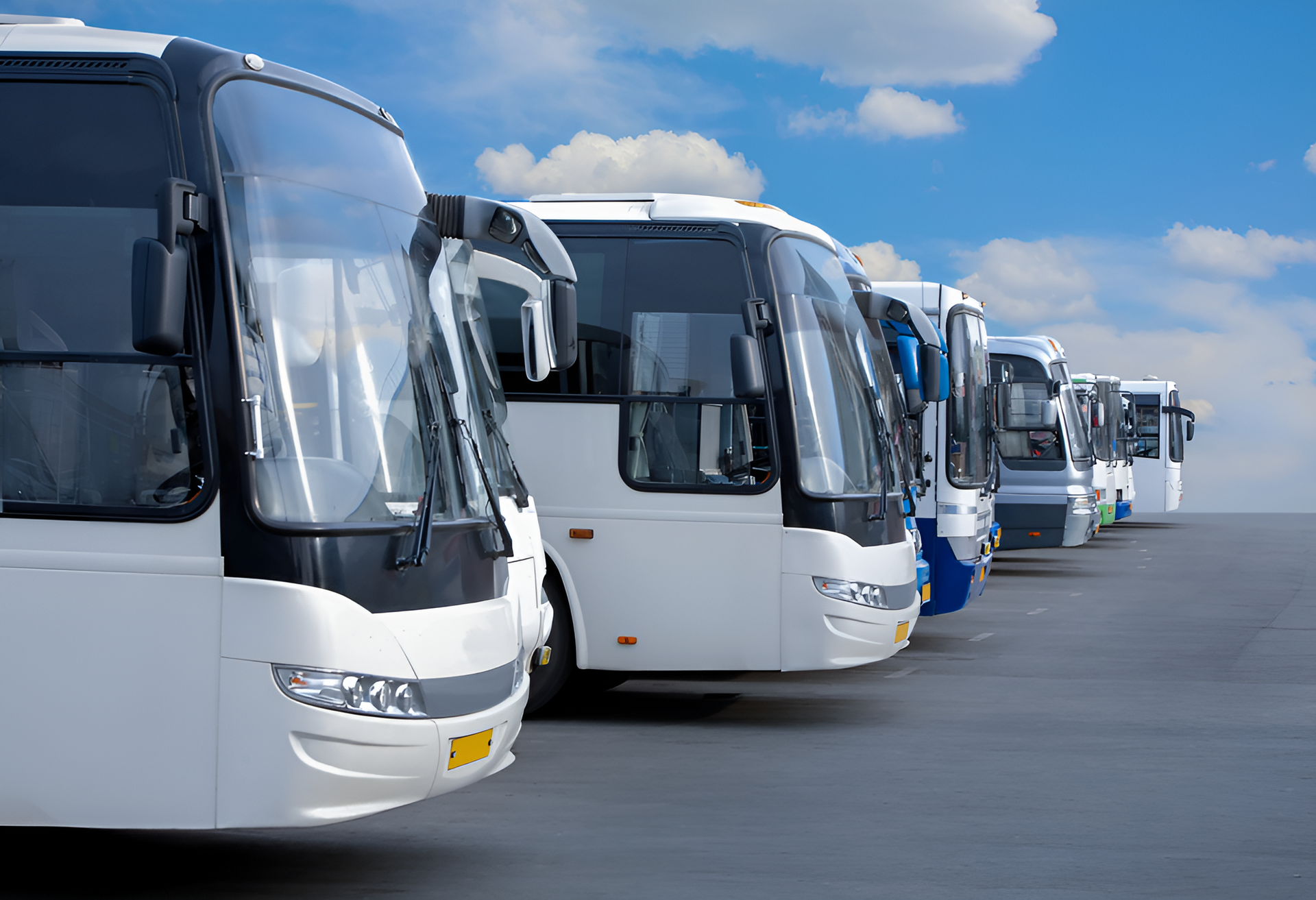 A Row of White Buses Are Parked — R.P's Total Assessments & Driver Training Pty Ltd In Tenterfield, NSW