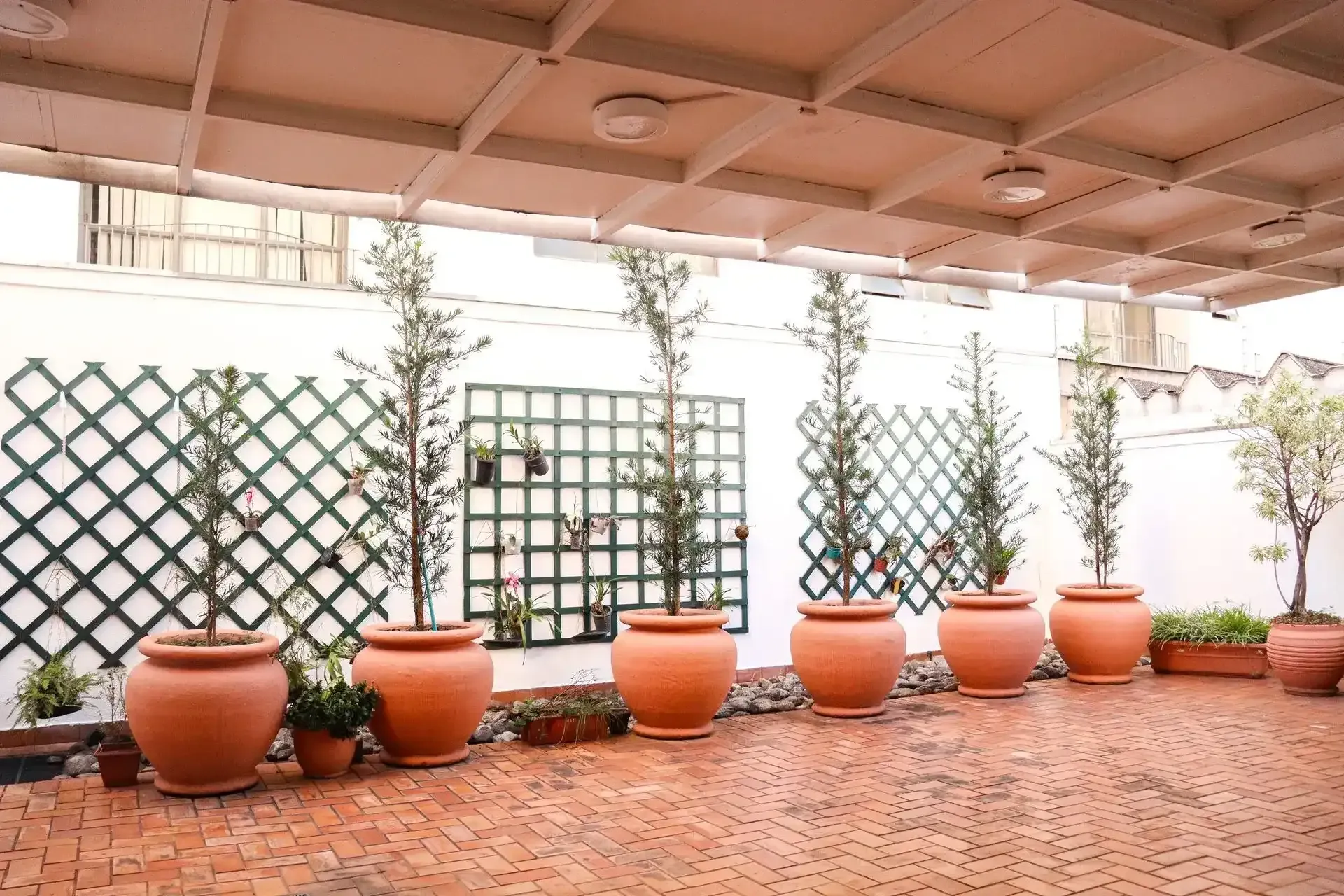 Uma fileira de plantas em vasos em frente a uma parede branca