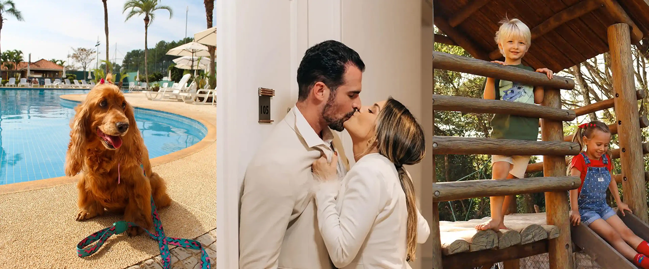 Colagem em três painéis: cachorro à beira da piscina, homem beijando um gato, crianças espiando por trás de uma cerca de madeira.