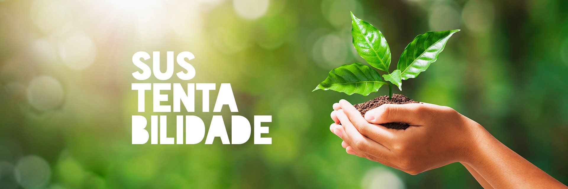 Sustentabilidade