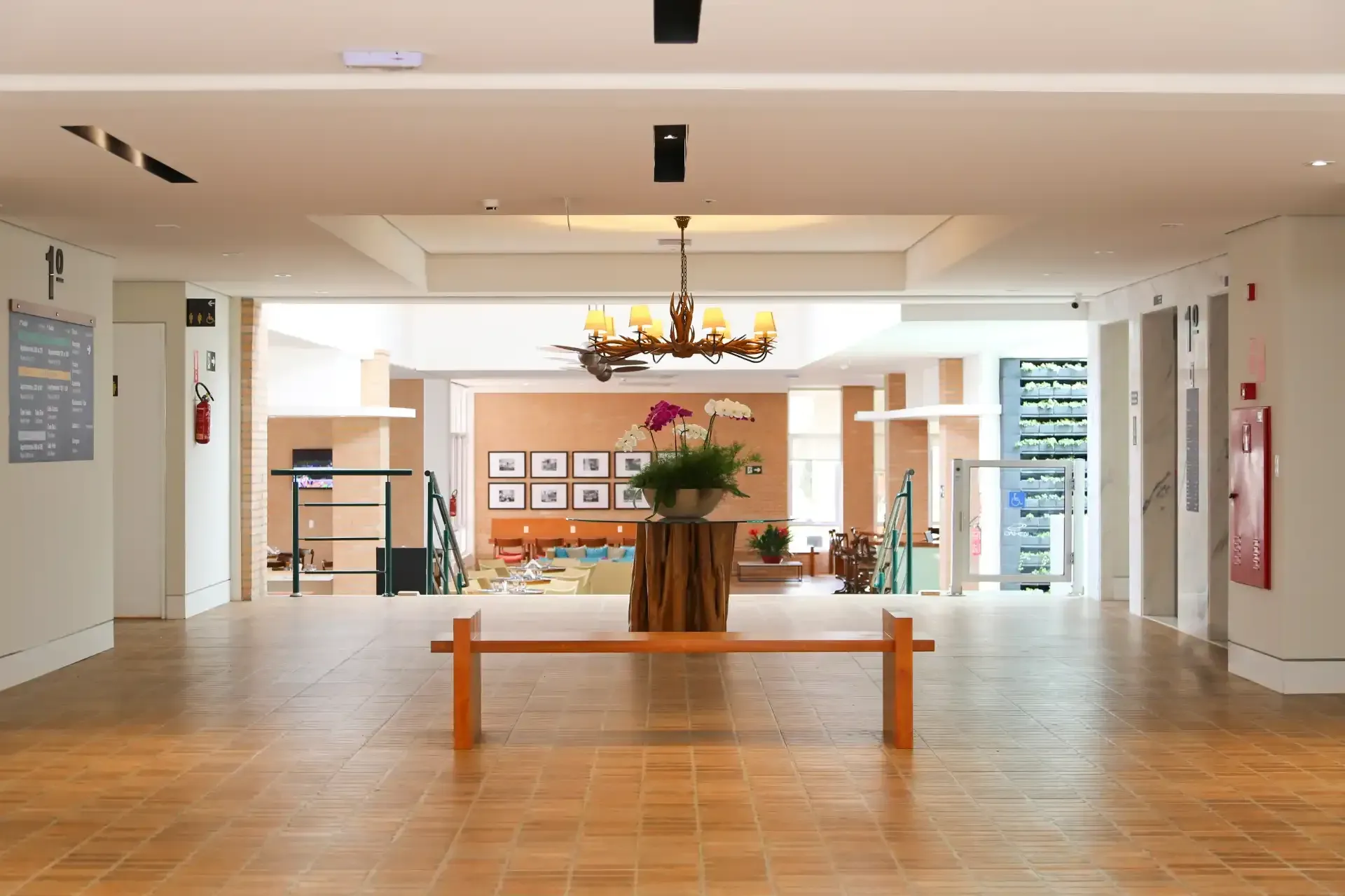 Hall de entrada do hotel bem iluminado, longo corredor com um banco de madeira, plantas e um lustre.