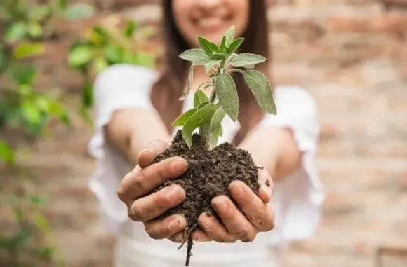 Mulher sorridente segurando uma mudança de planta jovem com terra em mãos, simbolizando crescimento, sustentabilidade e cuidado ambiental.