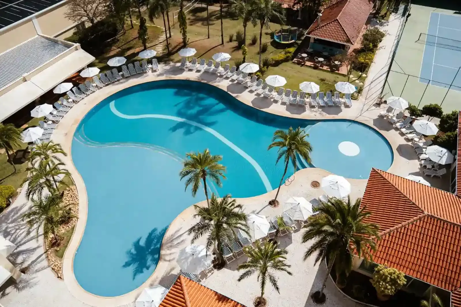 Piscina com espreguiçadeiras, construção e palmeiras sob um céu azul.