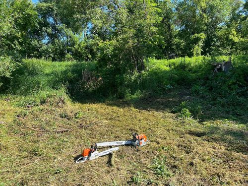 Orange-and-silver chainsaw on a grassy hillside with trees in the background