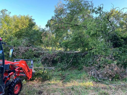 Red tractor in a brushy field beside dense green trees under a blue sky