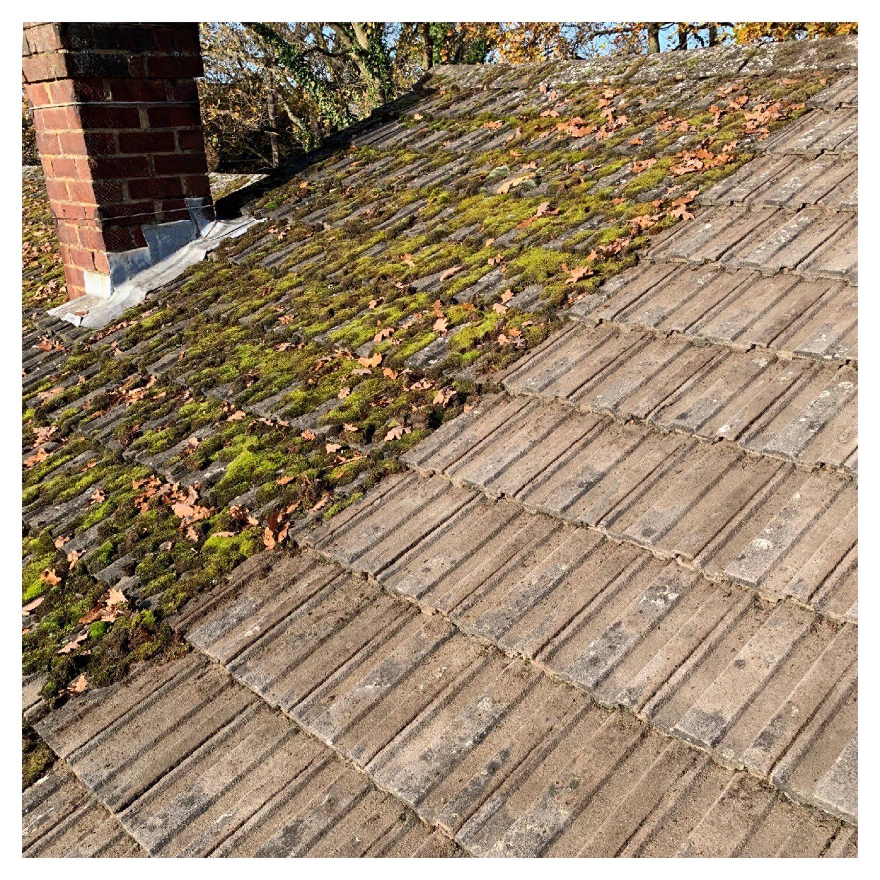 Roof Cleaning
