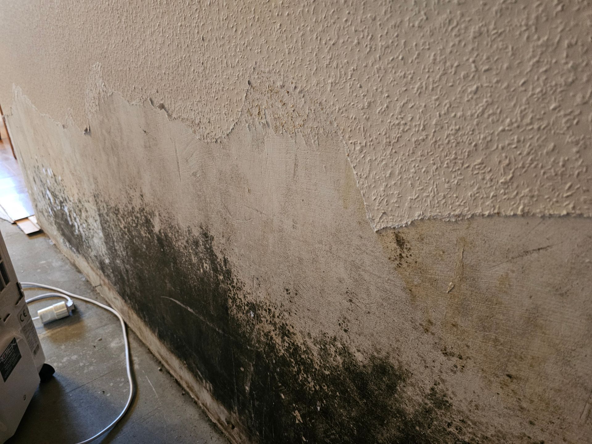 Eine Kellerwand mit abblätternder weißer Struktur, die im unteren Bereich starken dunklen Schimmelbefall und Feuchtigkeitsschäden aufweist.