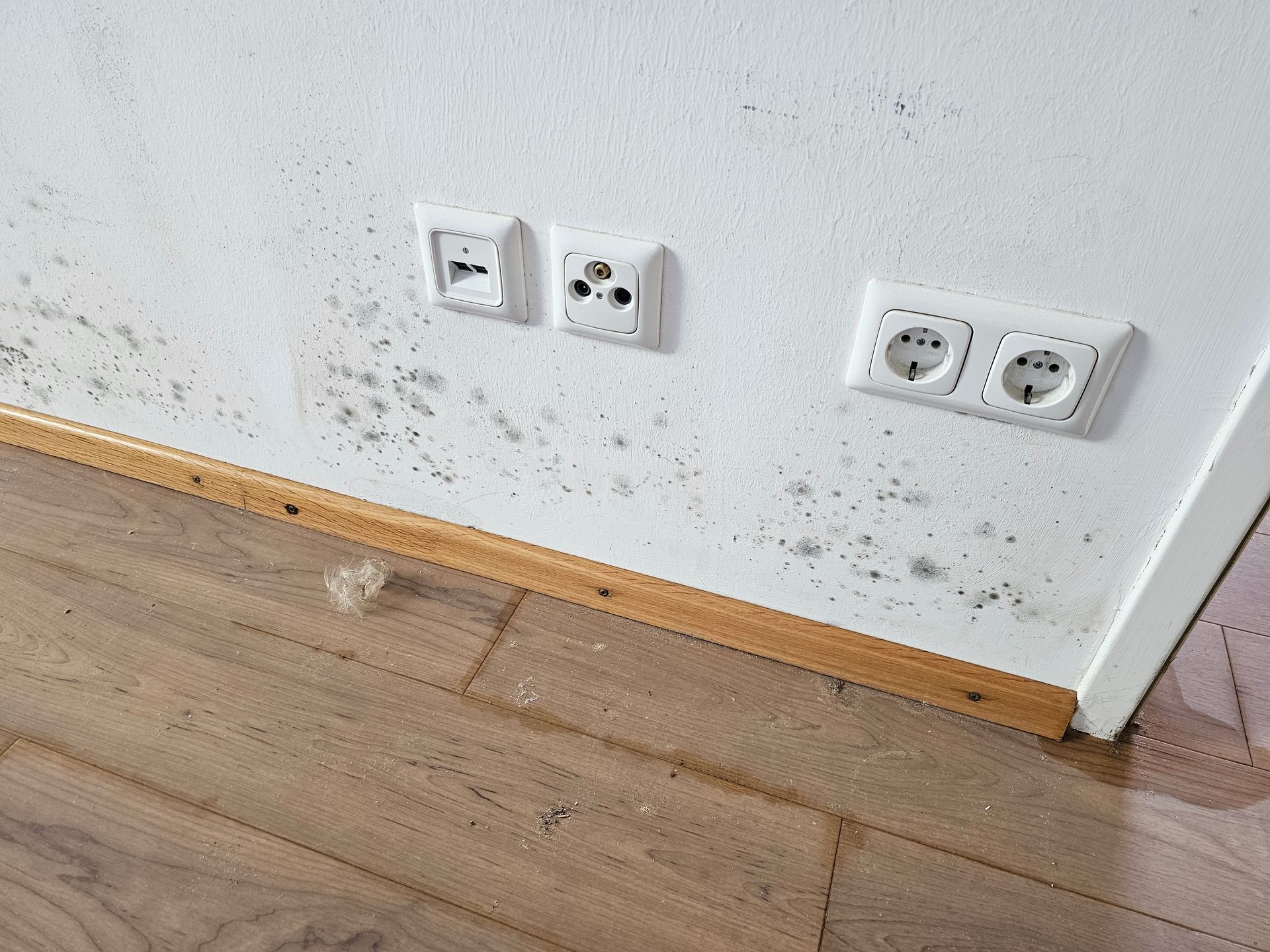 Eine weiße Innenwand mit dunklen Schimmelflecken in der Nähe eines Holzfußbodens und mehrerer Steckdosen.