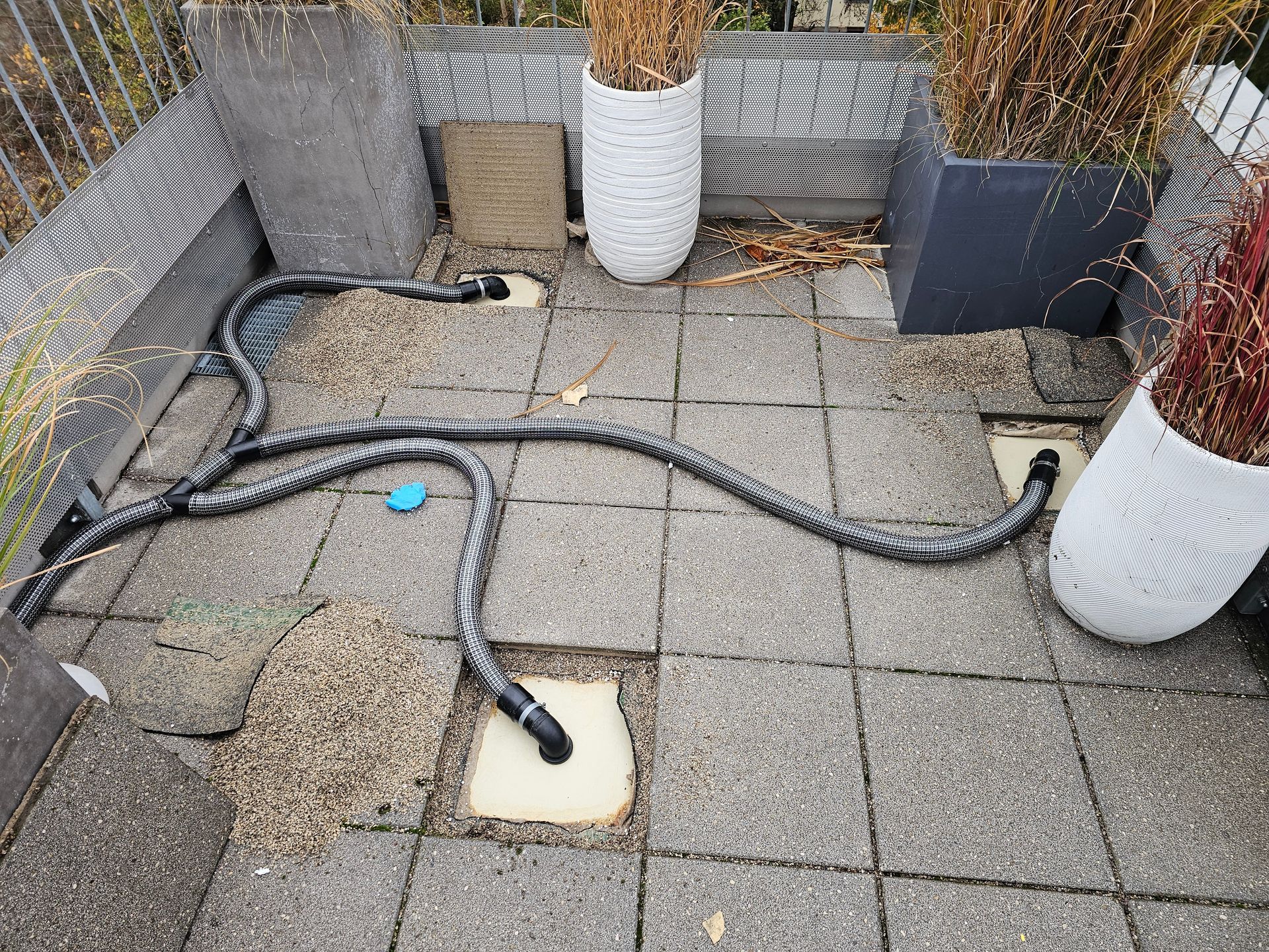 Eine Terrassenszene mit mehreren Topfpflanzen und schwarzen Bewässerungsschläuchen, die an bodenebene Abflussöffnungen angeschlossen sind.