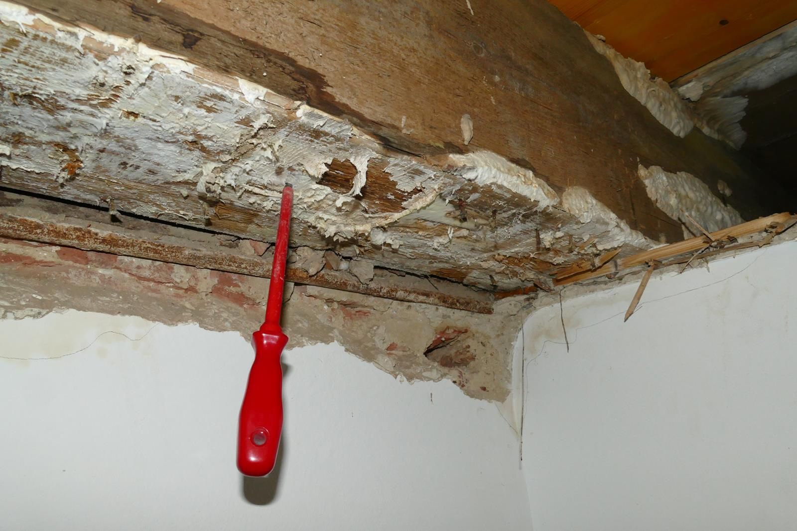 Ein roter Schraubenzieher steckte in einem bröckelnden, verfallenden Holzbalken über einer weißen Wand.