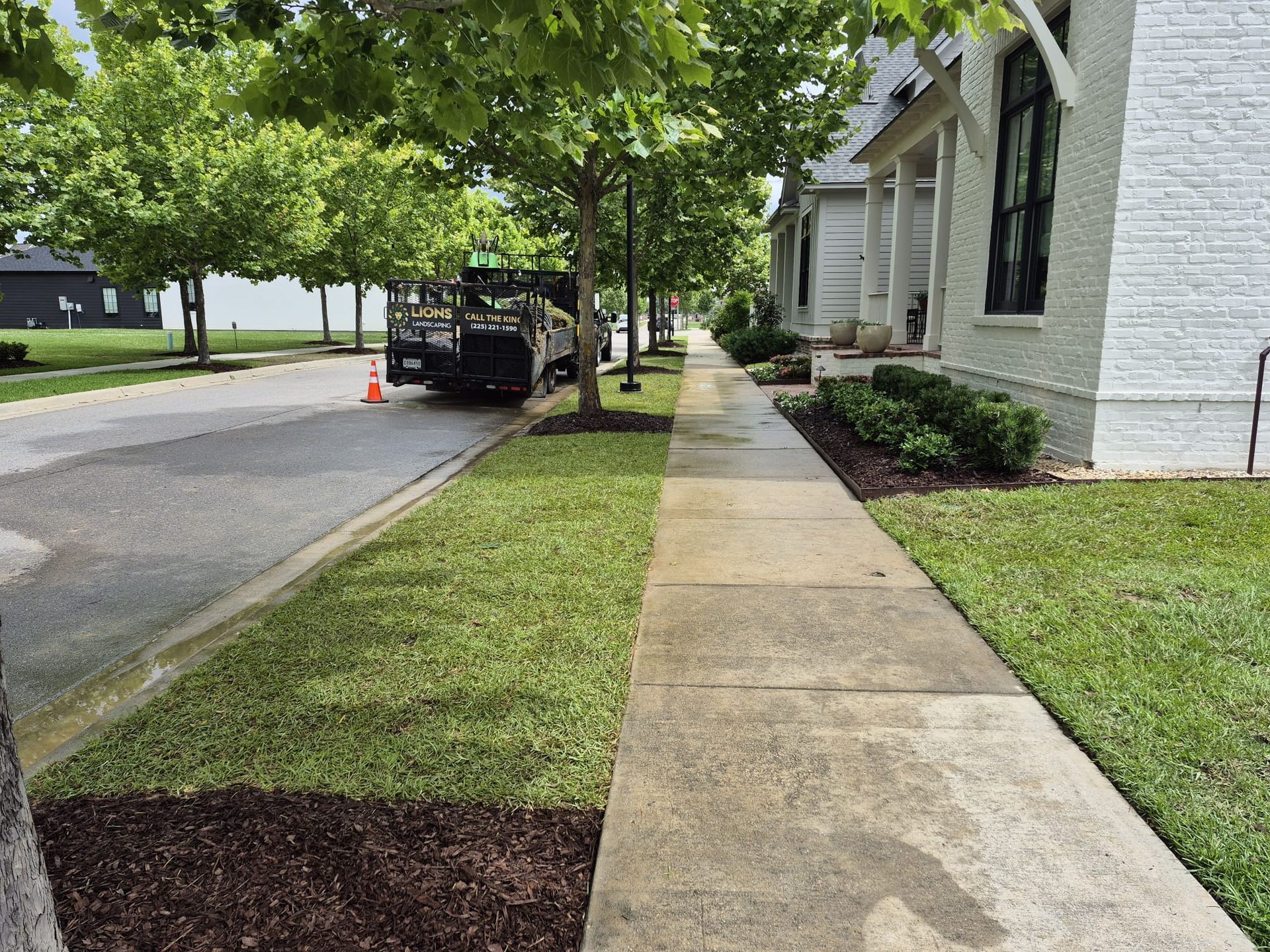 Sod Installation