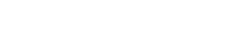 WSI Biggs Digital - Embrace Digital Stay Human