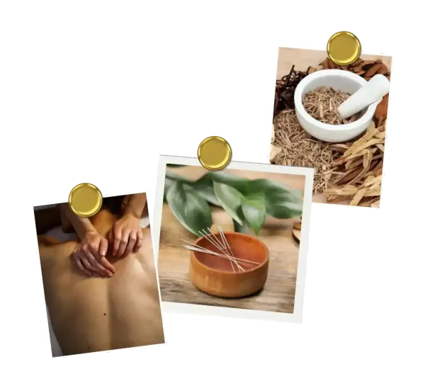 Traditional Chinese Medicine