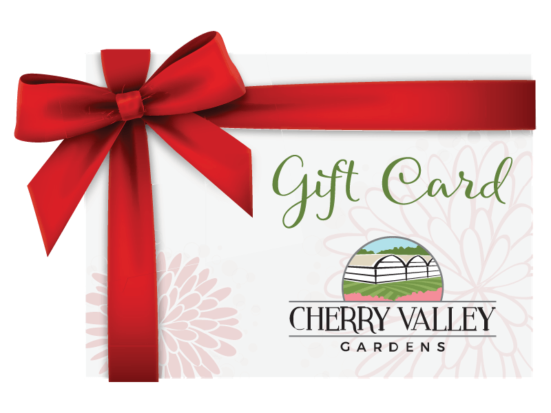 Cherry Valley Gardens Gift Card with a bow around it.
