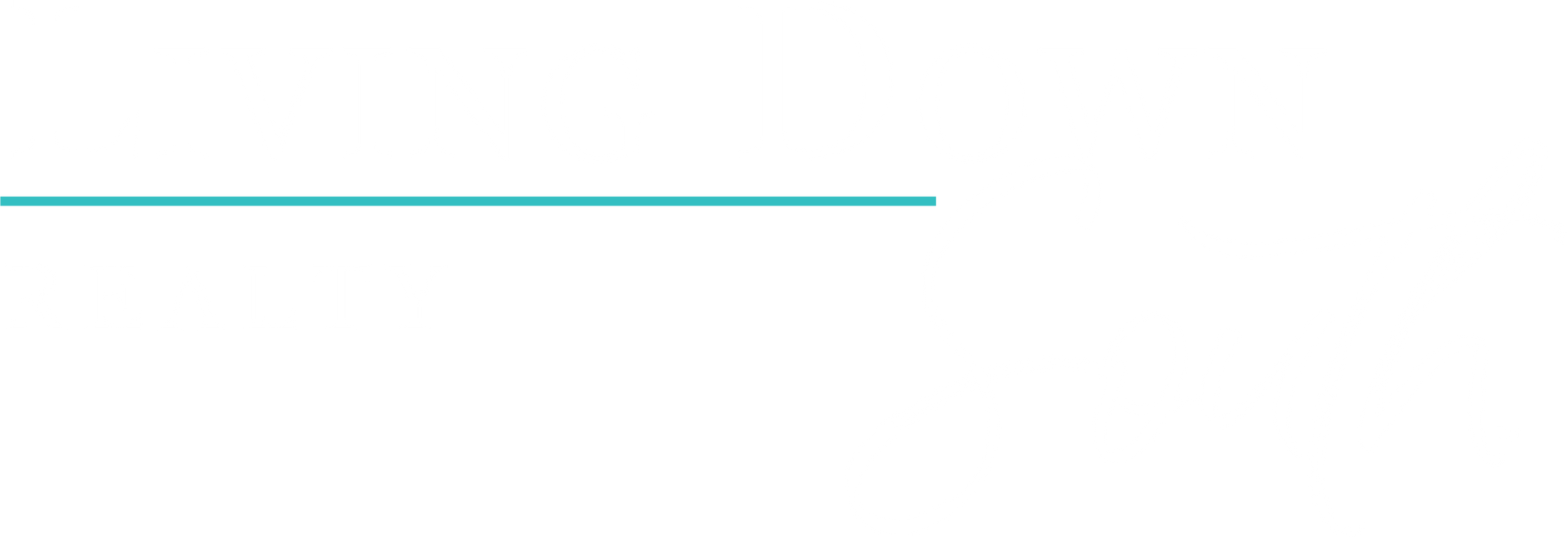 Thin turquoise horizontal line near the top left on a white background.