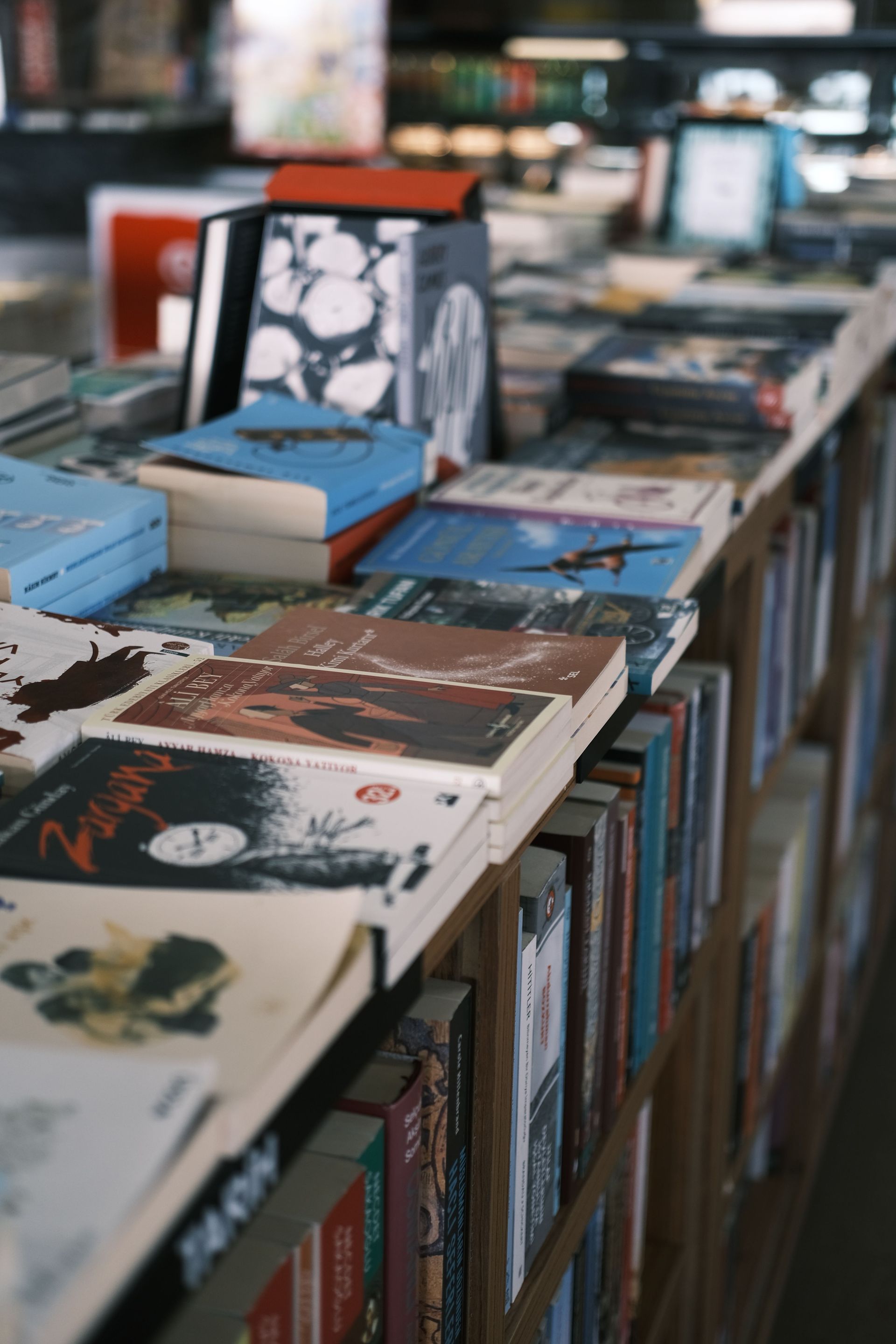 Libri pubblicati a scaffale