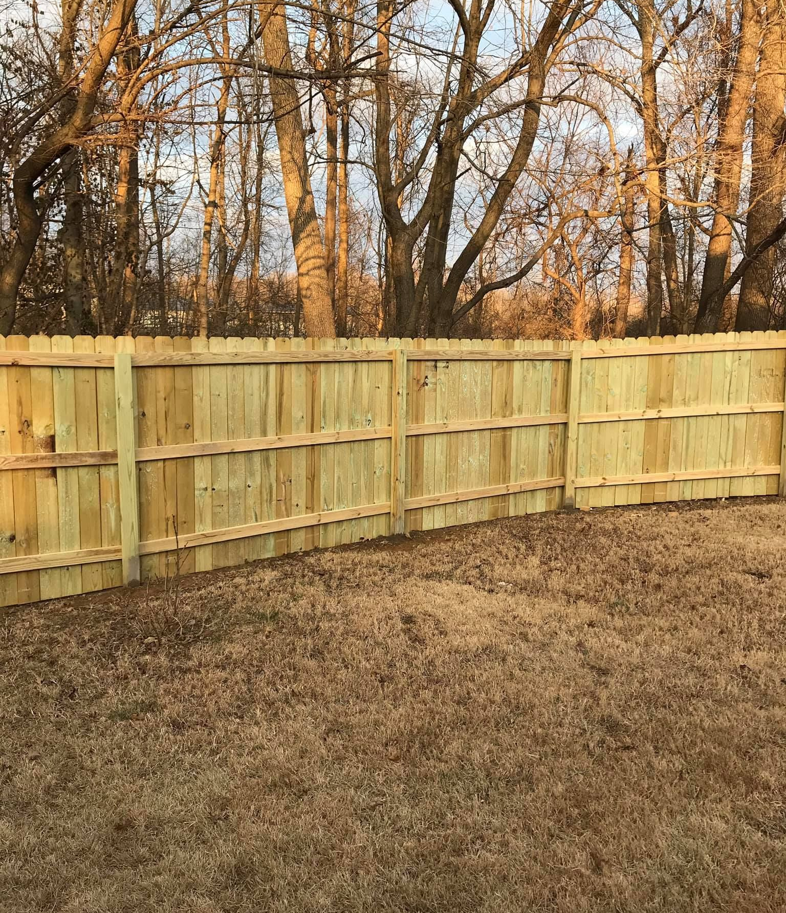Backyard with a wooden fence and leafless trees beyond it, over a brown grass lawn.