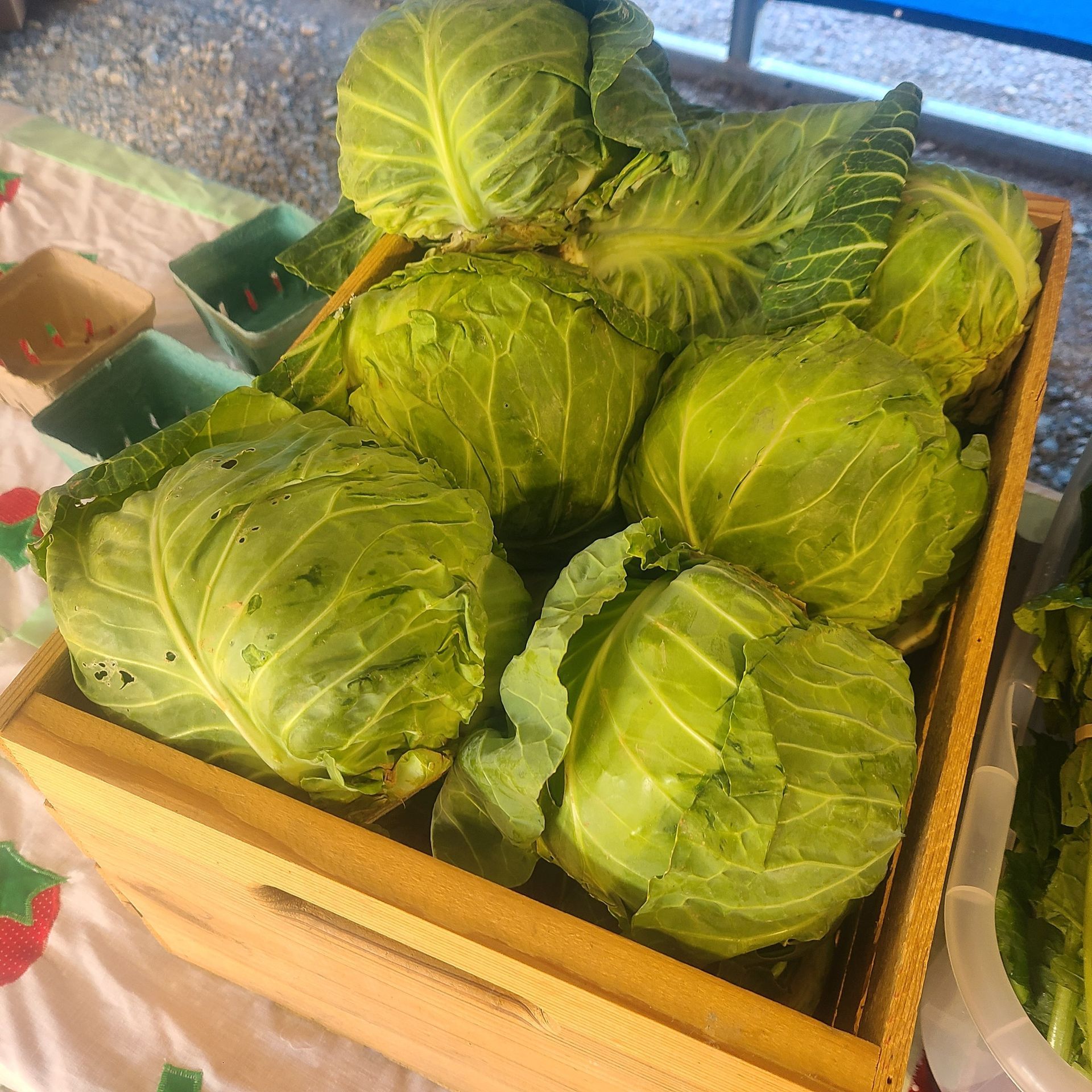Wooden crate filled with fresh green cabbages on a market table