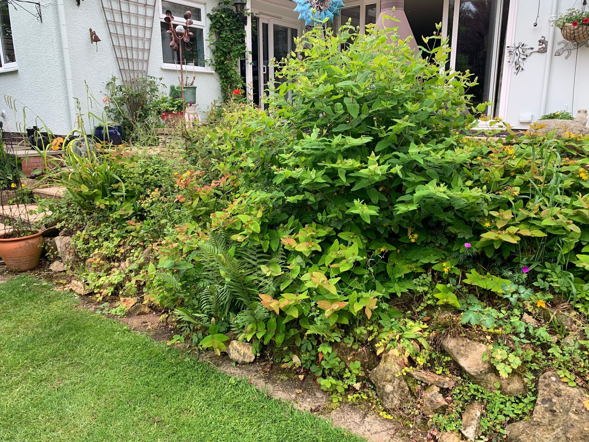 A garden with lots of plants and rocks in front of a house.