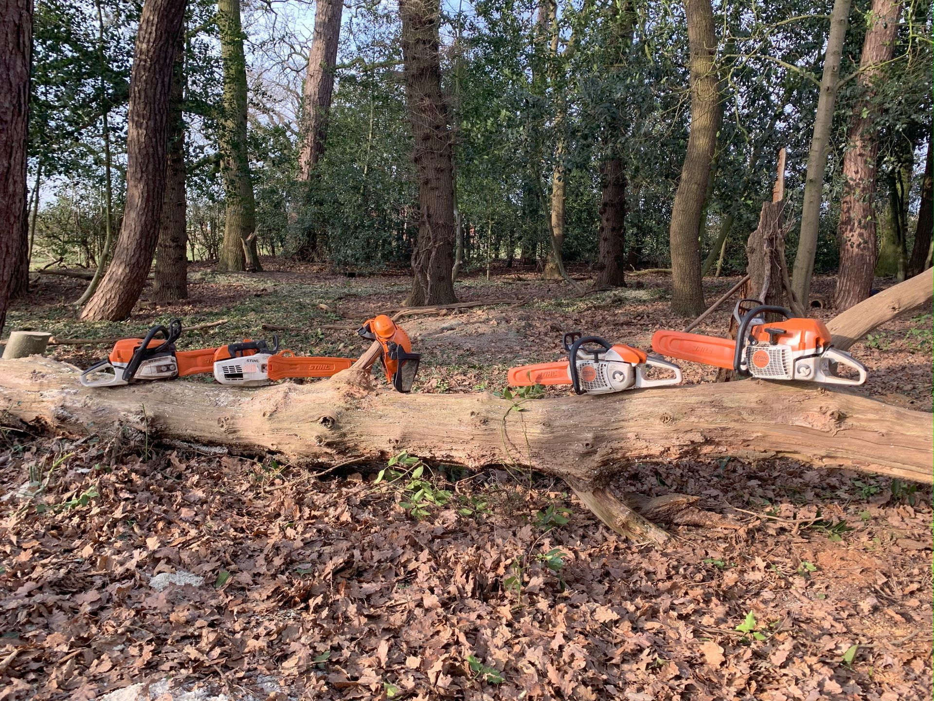 Commercial Tree Surgery & Estate Contracts 