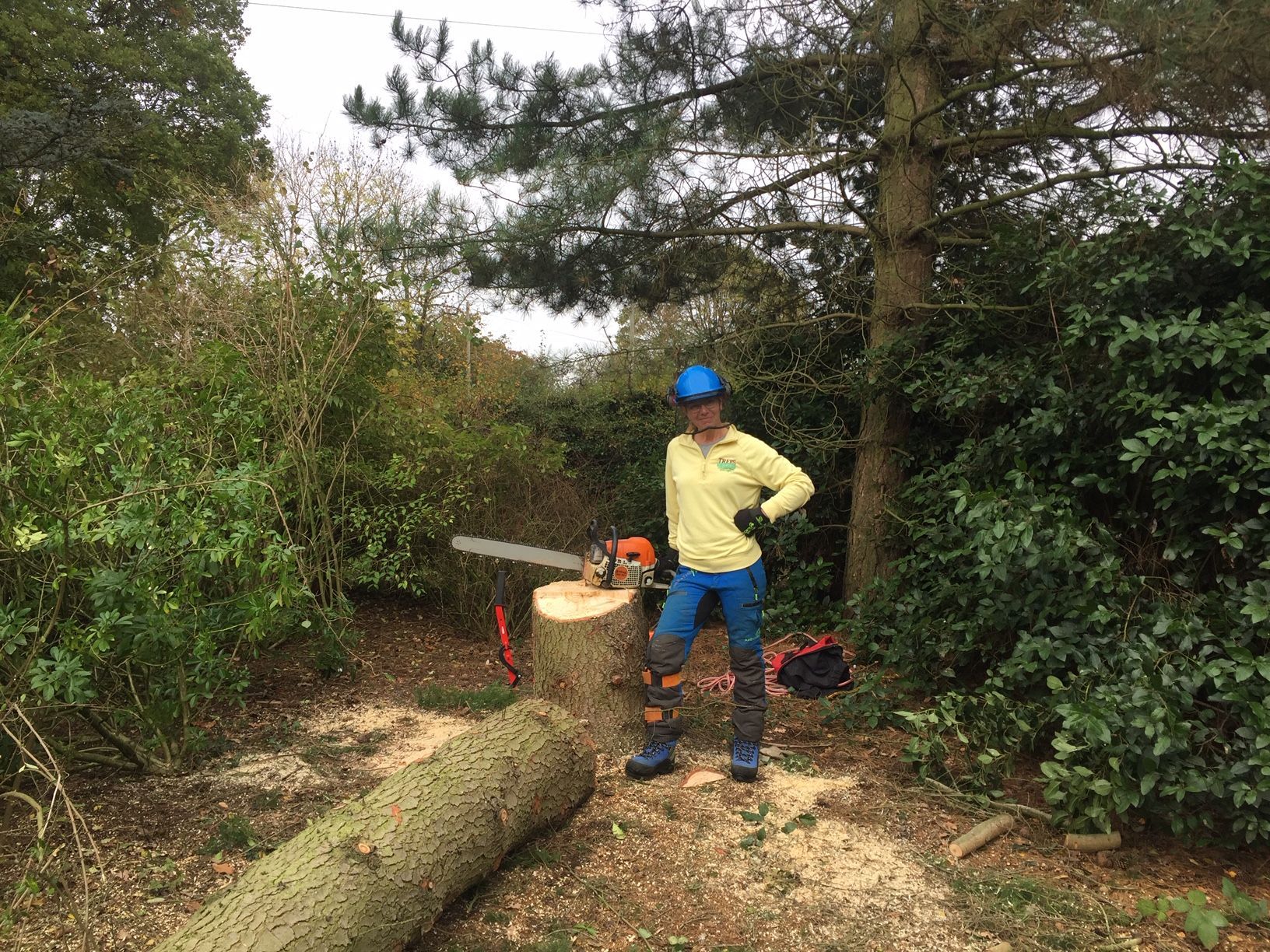 Tree Surgery and Garden Services