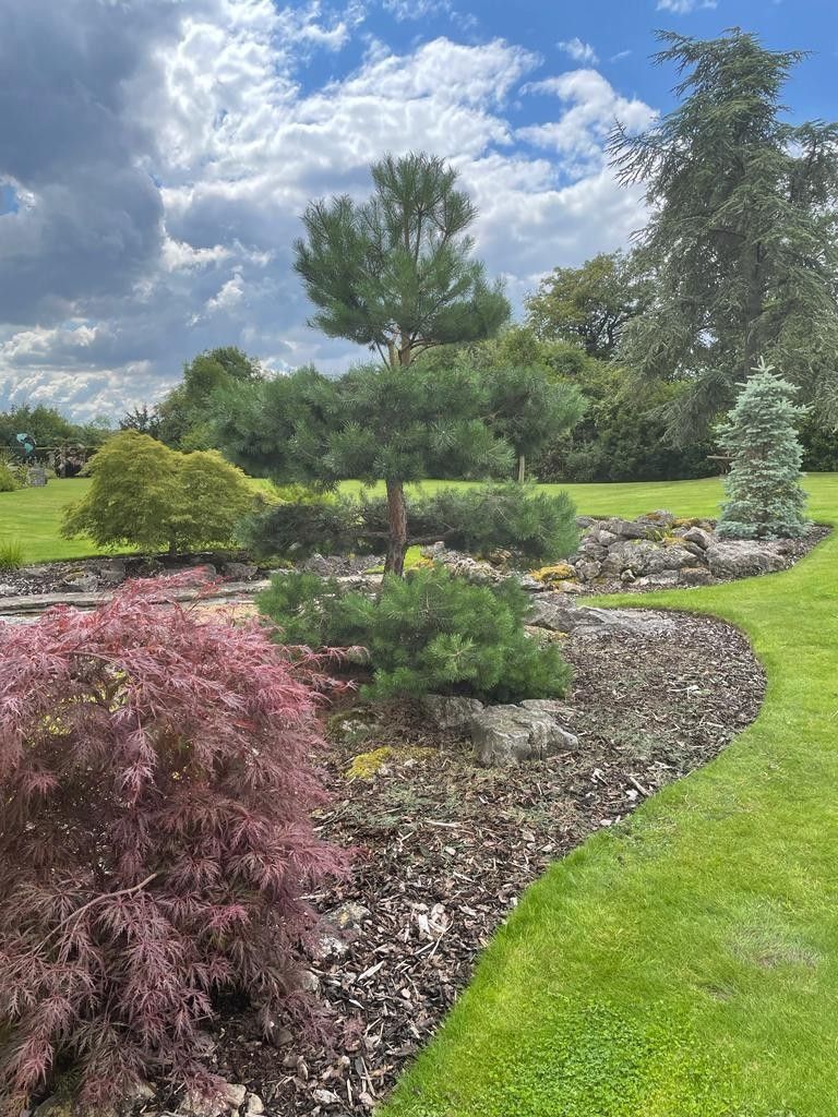 A lush green garden with trees and bushes on a cloudy day.