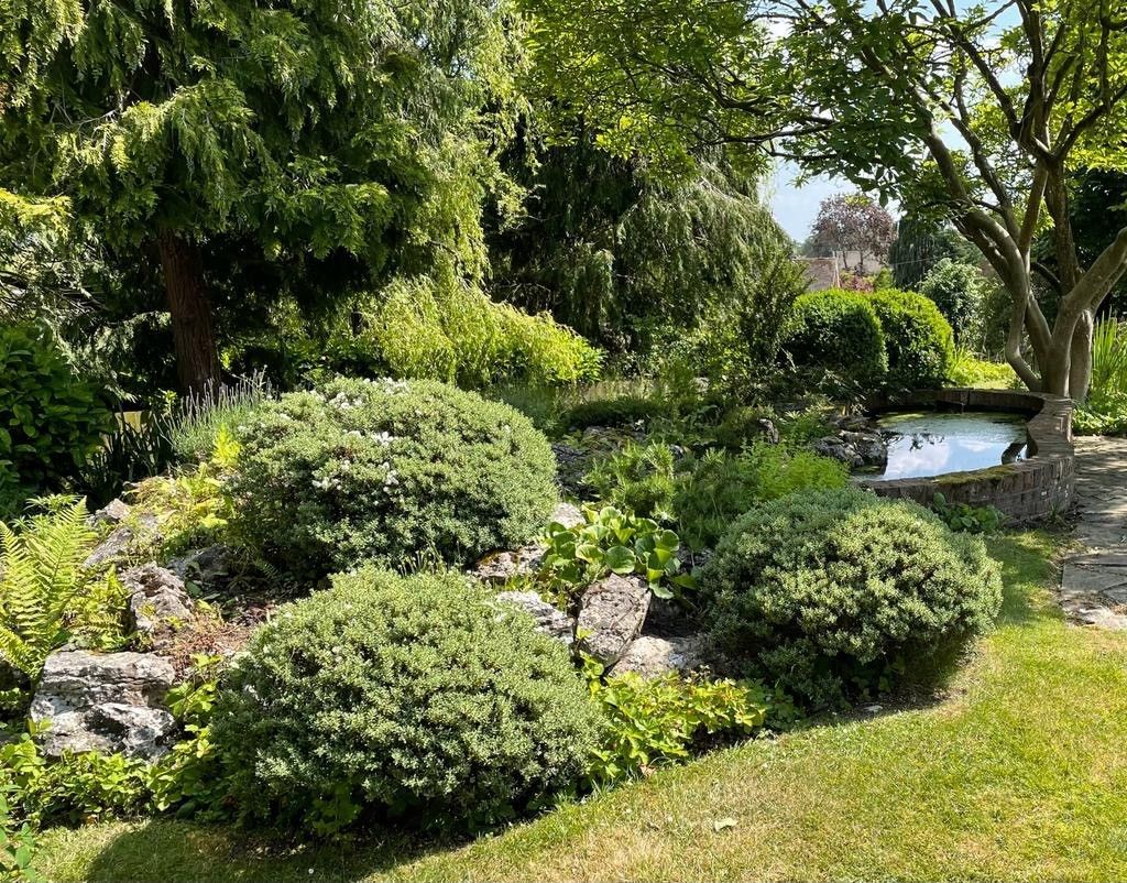 There is a pond in the middle of the garden surrounded by trees and bushes.
