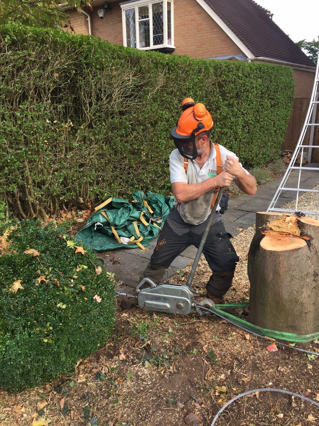 A man is cutting a tree stump with a chainsaw.