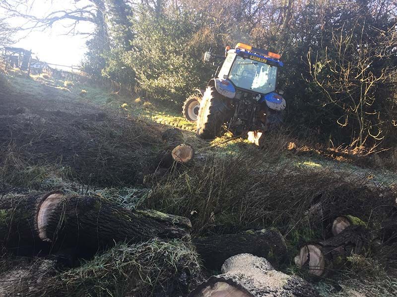 Site Clearance for Development