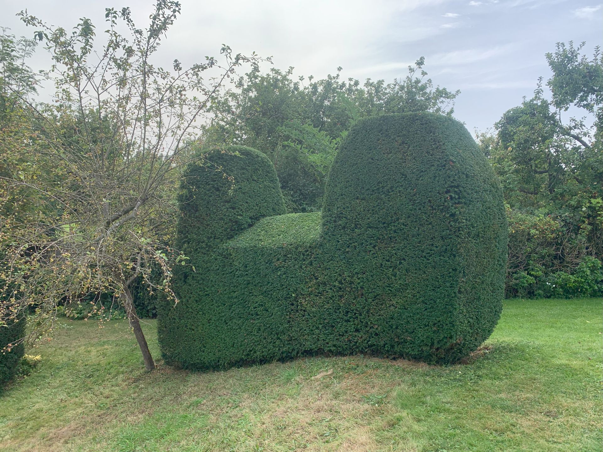 A large hedge in the shape of a chair is sitting in the middle of a lush green field.