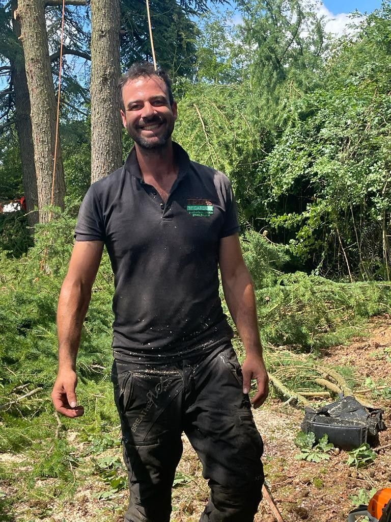 A man in a black shirt is standing in the middle of a forest.