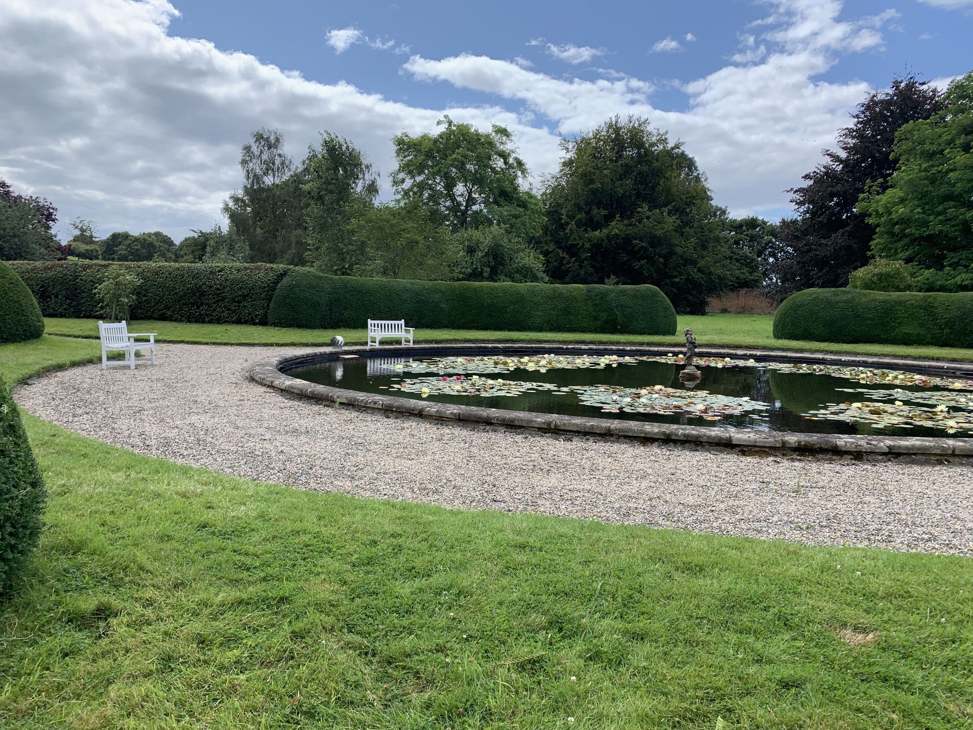 Hedge & Shrub Maintenance