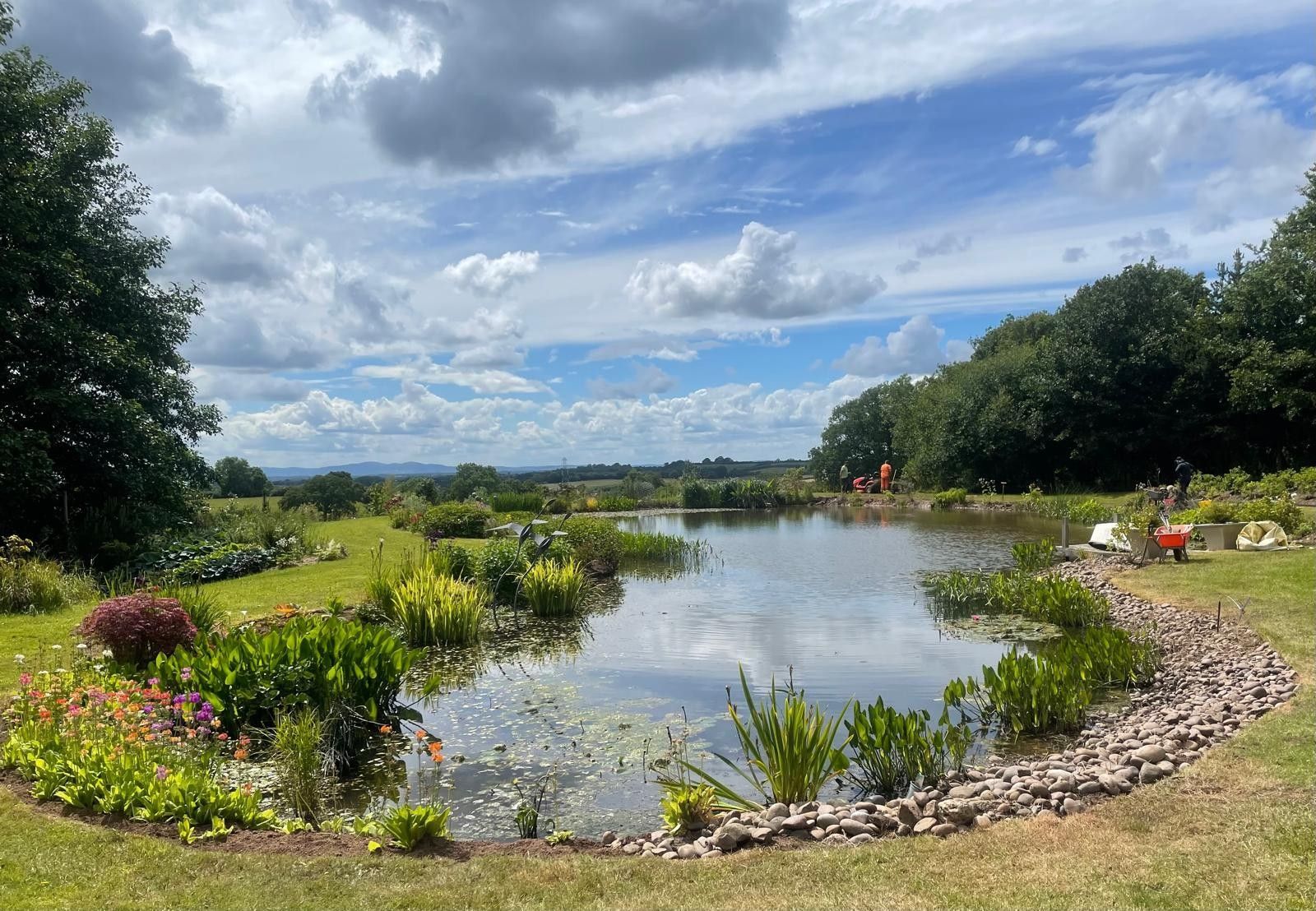 There is a pond in the middle of a lush green field.
