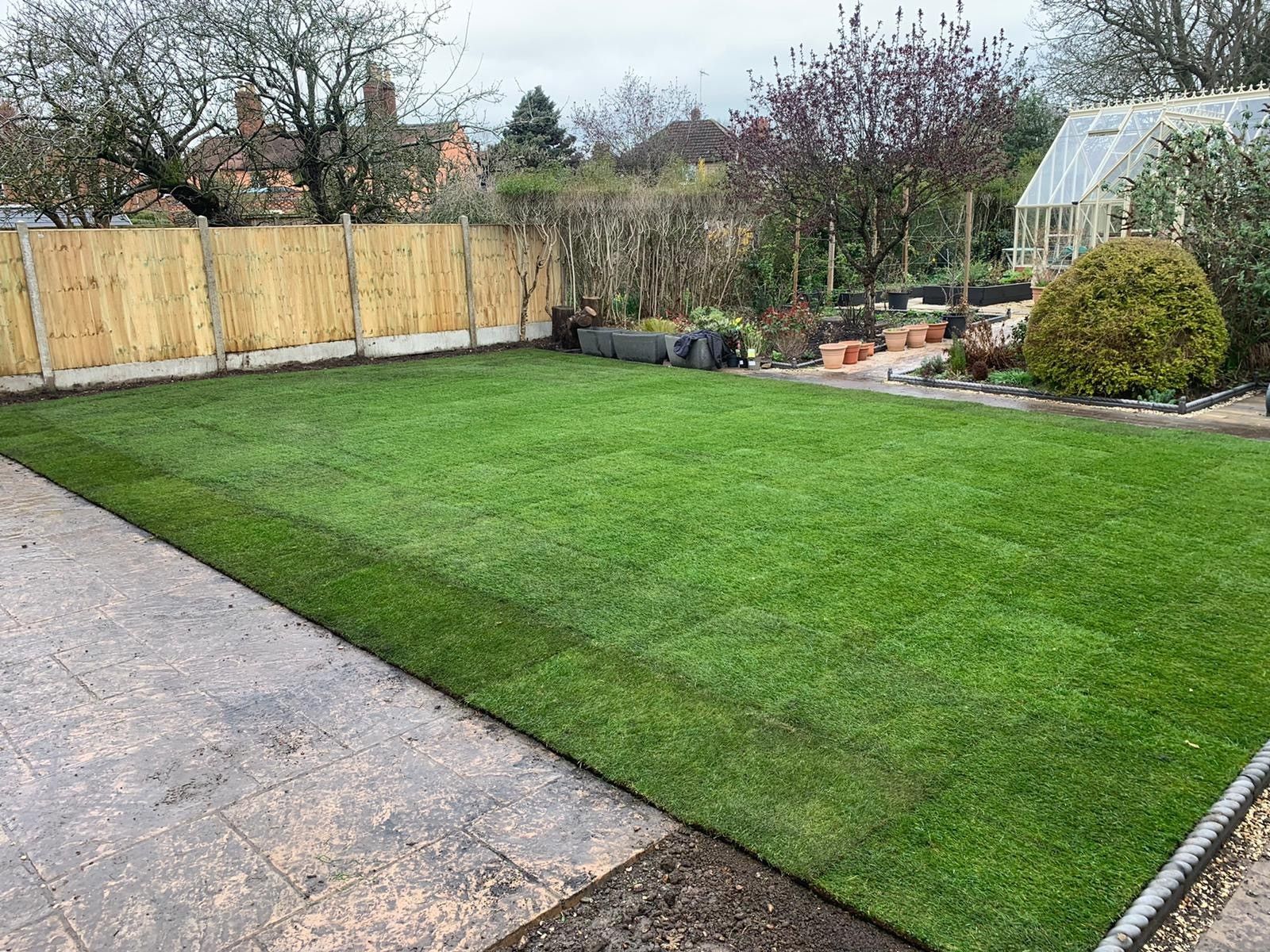 A lush green lawn in a backyard with a wooden fence.
