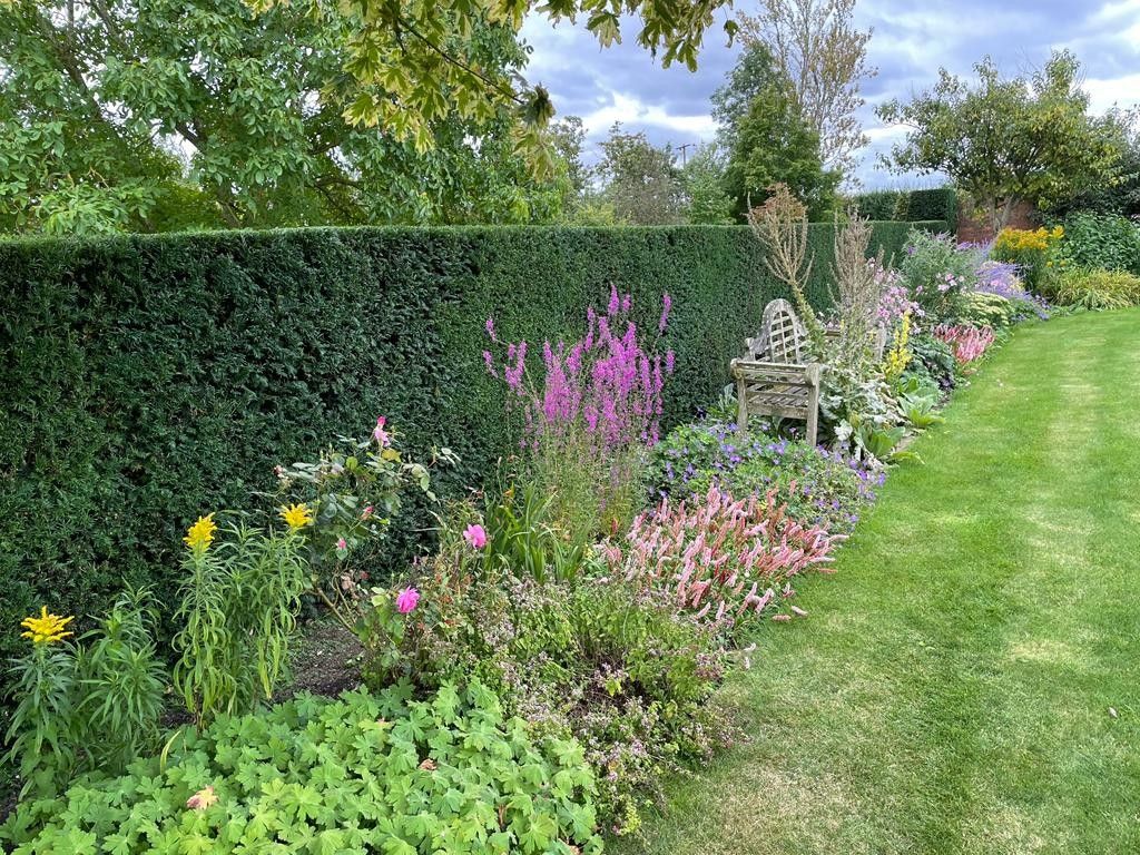 A garden filled with lots of flowers and a bench.