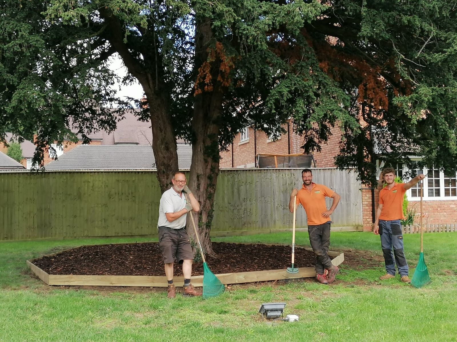 Three men are standing in front of a tree holding shovels
