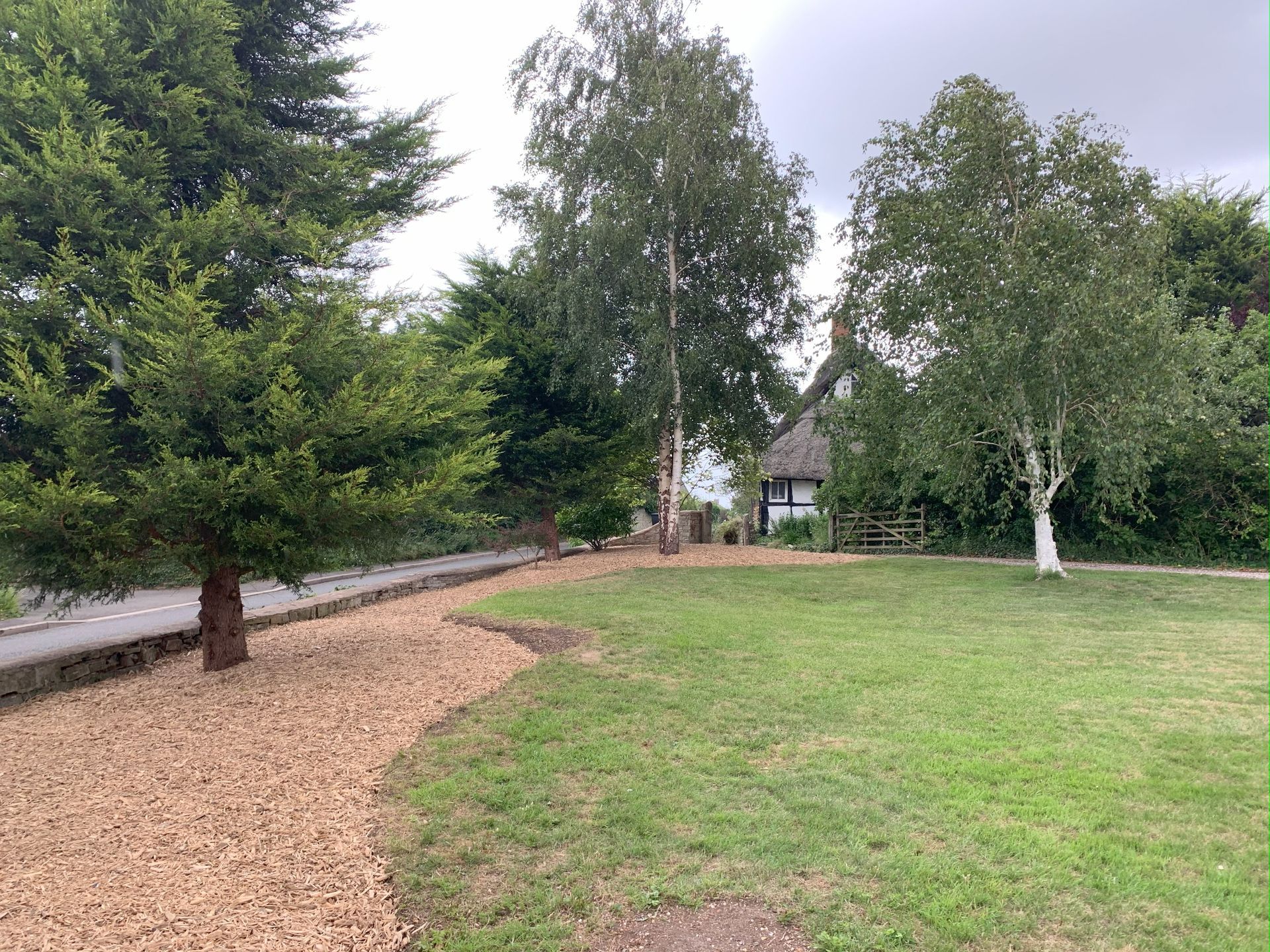 A lush green field with trees and a path leading to a house.