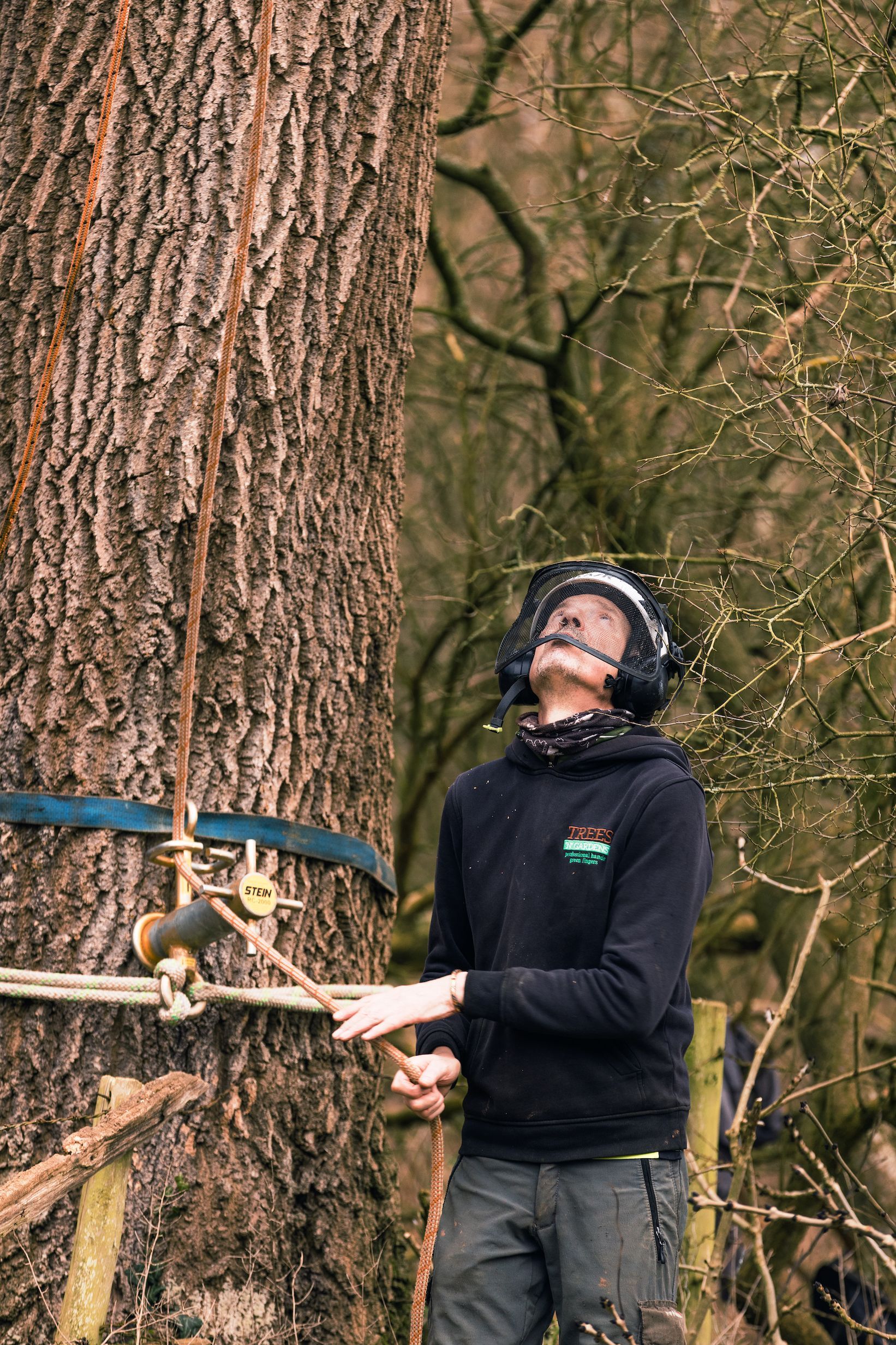 Tree Surgery Trees N Gardens
