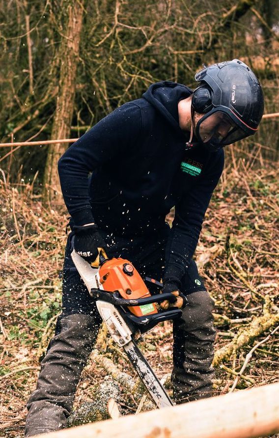 A man is cutting a tree with a chainsaw in the woods.