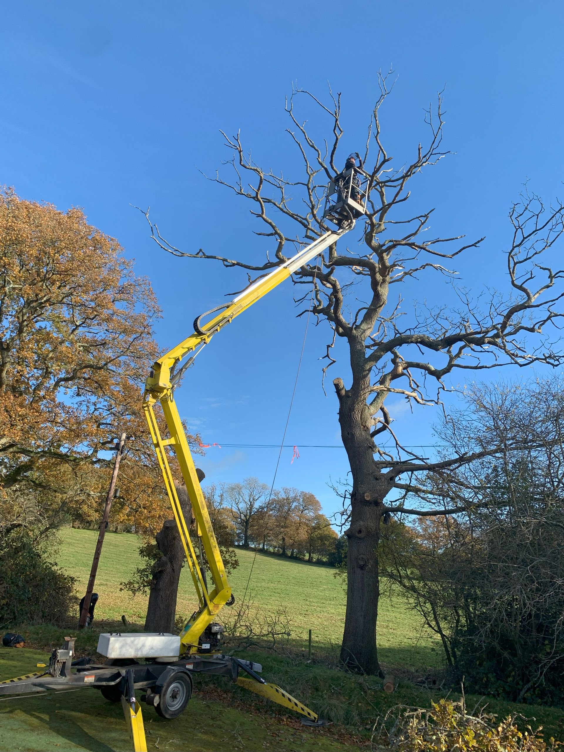 Rapid Response Emergency Tree Services