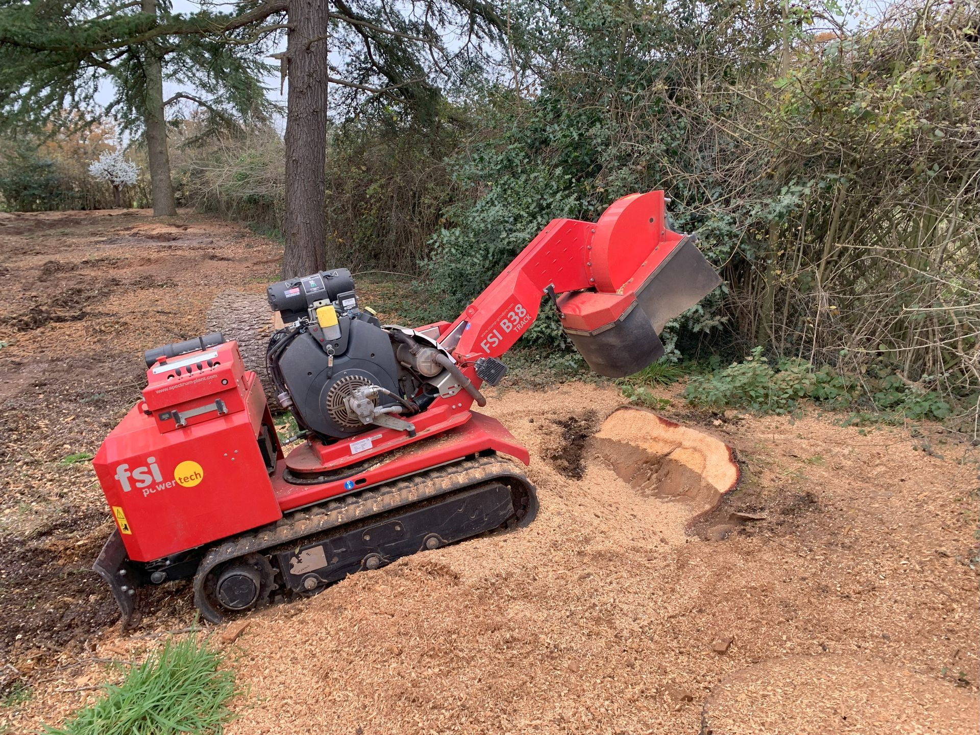 Stump Grinding and Removal