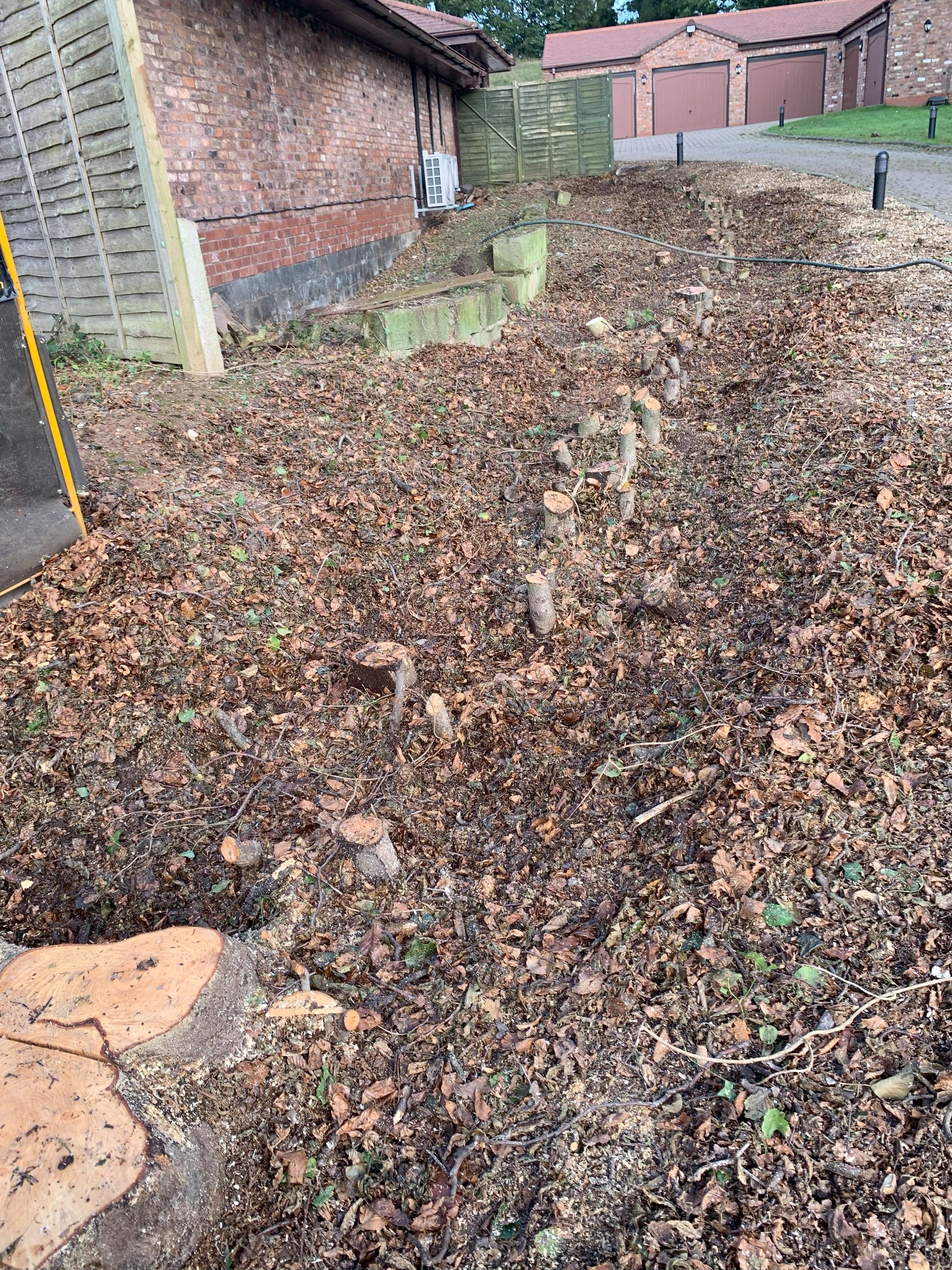 A large tree stump is in the middle of a dirt field in front of a house.
